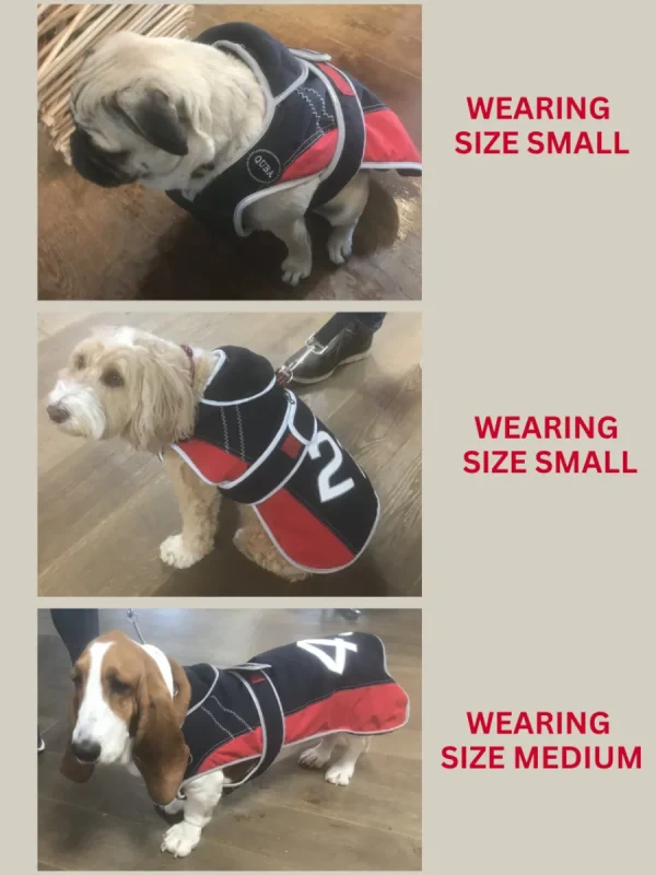 Quba & Co Quba X-Series Dog Coat - Sidney Fashion